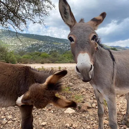 Frühstückspension Al Vicoletto - Genuine Hospitality & Private Parking Tortolì